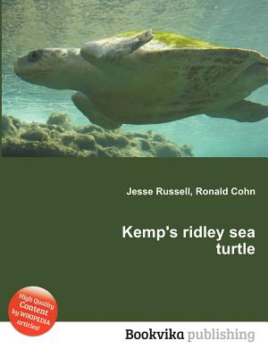 Kemp's Ridley Sea Turtle