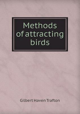 Methods of Attracting Birds