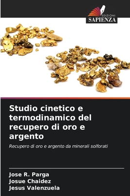 Studio cinetico e termodinamico del recupero di oro e argento