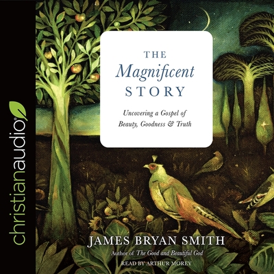 Magnificent Story: Uncovering a Gospel of Beauty, Goodness, and Truth