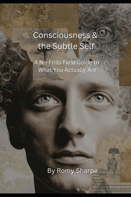 Consciousness & the Subtle Self: A No-Frills Field Guide to What You Actually Are
