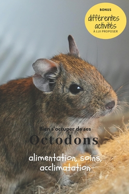 Bien s'occuper de ses Octodons: alimentation, accessoires, soins, éducation