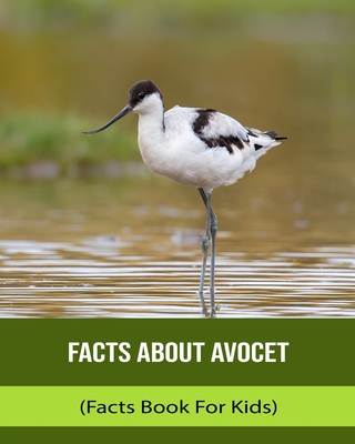 Facts About Avocet (Facts Book For Kids)
