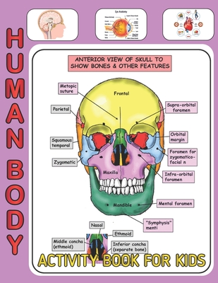 Human Body Activity Book For Kids: An Amazing Inside-Out Tour of the Human Body (National Geographic Kids) - Bones, Muscles, Blood, Nerves and How The