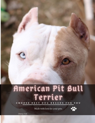 American Pit Bull Terrier: Choose best dog breeds for you