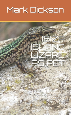 Ibiza Island Lizard as Pet: The Complete Guide On Everything You Need To Know About Ibizia Island Lizard, Care Feeding And Housing Them.