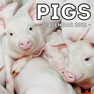 Pigs Calendar 2021: 16-Month Calendar, Cute Gift Idea For Pig Lovers Men & Women