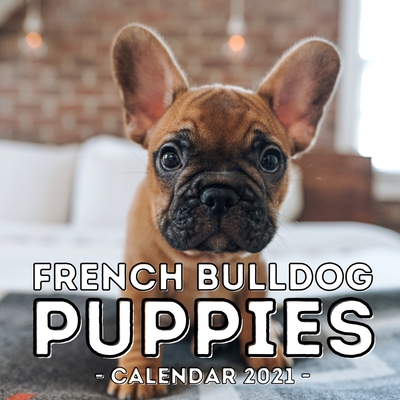 French Bulldog Puppies Calendar 2021: 16-Month Calendar, Cute Gift Idea For Frenchie Lovers Men & Women