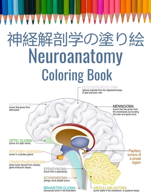 神経解剖学の塗り絵 Neuroanatomy Coloring Book: 脳科学者のた&