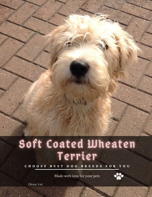 Soft Coated Wheaten Terrier: Choose best dog breeds for you