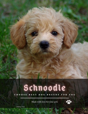 Schnoodle: Choose best dog breeds for you