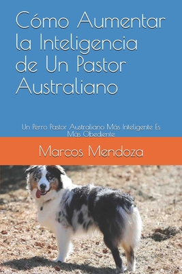 Cómo Aumentar la Inteligencia de Un Pastor Australiano: Un Perro Pastor Australiano Más Inteligente Es Más Obediente