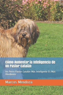 Cómo Aumentar la Inteligencia de Un Pastor Catalán: Un Perro Pastor Catalán Más Inteligente Es Más Obediente