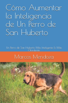 Cómo Aumentar la Inteligencia de Un Perro de San Huberto: Un Perro de San Huberto Más Inteligente Es Más Obediente