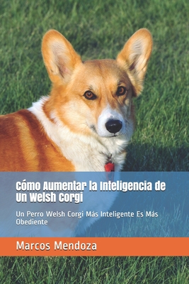 Cómo Aumentar la Inteligencia de Un Welsh Corgi: Un Perro Welsh Corgi Más Inteligente Es Más Obediente