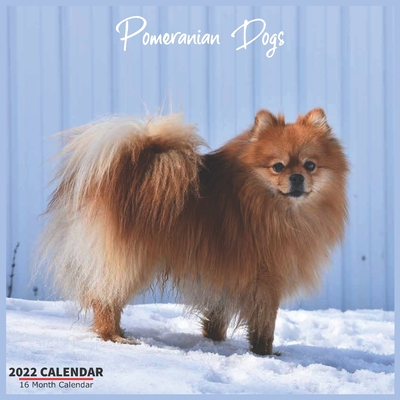 Pomeranian Dogs Calendar 2022: Official Pomeranian Dogs Breed Calendar 2022, 16 Month Calendar 2022