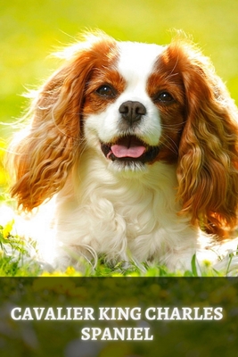 Cavalier King Charles Spaniel: Complete breed guide