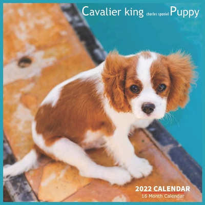 Cavalier king charles spaniel Puppy Calendar 2022: Official Cavalier King Charles Spaniel Dogs Calendar 2022, 16 Month Calendar 2022