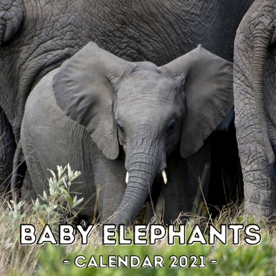 Baby Elephants: 2021 Calendar Book, Cute Gift Idea For Baby Elephant Lovers Men And Women