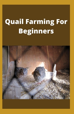 Quail Farming For Beginners
