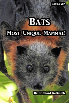 Bats: Most Unique Mammal!