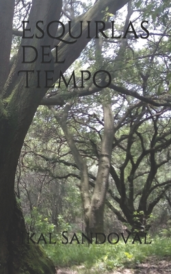 Esquirlas del Tiempo