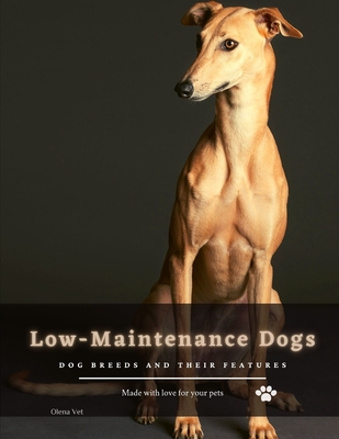 Low-Maintenance Dogs: Dog breeds and their features