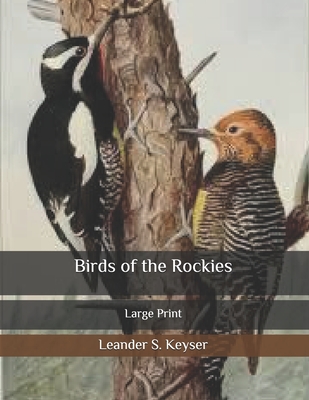 Birds of the Rockies: Large Print