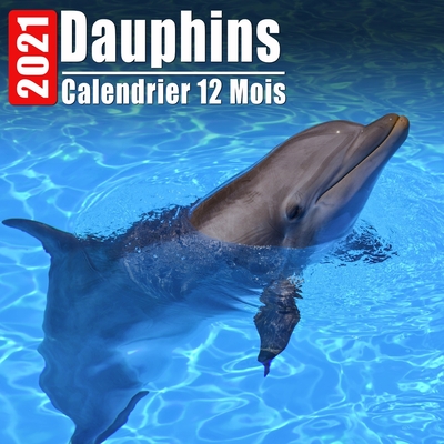 Calendrier 2021 Dauphins: Mini Photos Calendrier Dauphins Et Organisateur Mensuel Avec Citations Inspirantes Chaque Mois