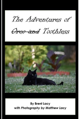 The Adventures of Toothless