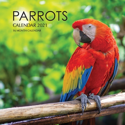 Parrots Calendar 2021: 16 Month Calendar