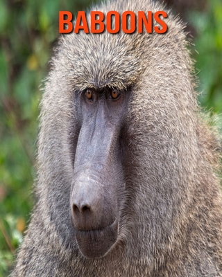 Baboons: Amazing Photos & Fun Facts Book About Baboons For Kids