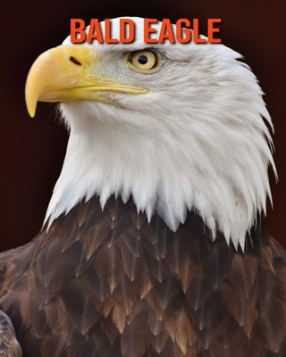 Bald Eagle: Amazing Photos & Fun Facts Book About Bald Eagle For Kids