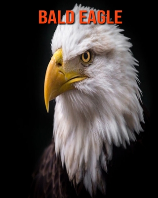 Bald Eagle: Amazing Facts & Pictures