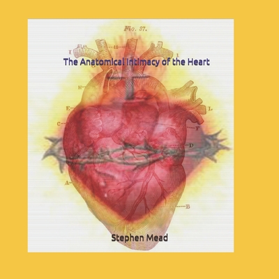 The Anatomical Intimacy of the Heart