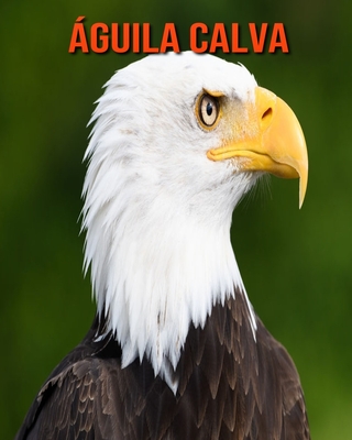Águila calva: Libro para niños con imágenes hermosas y datos interesantes sobre los Águila calva