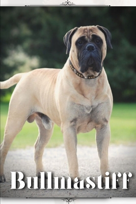 Heaven sales sent bullmastiffs