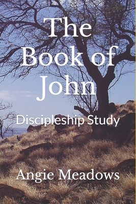 The Book of John: Discipleship Study